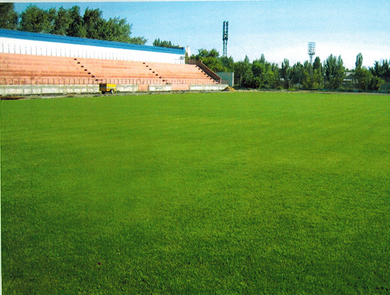 Стадион «Зенит» г. Волгоград. Футбольное поле с натуральным рулонным газоном.